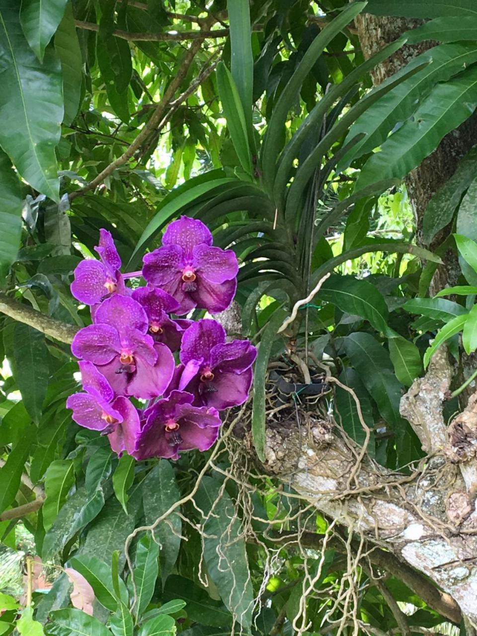 Villa La Loma 拉维加 外观 照片
