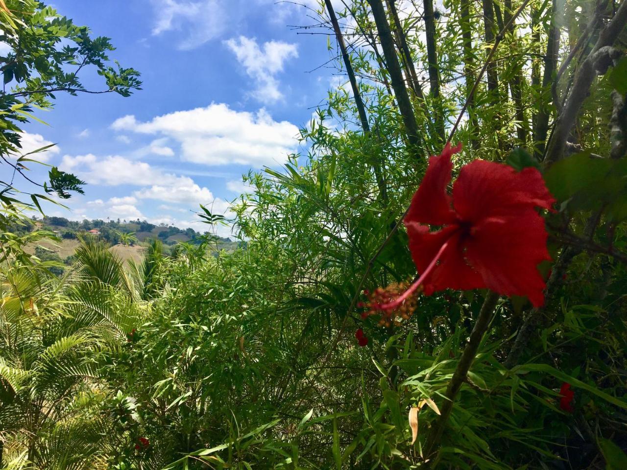 Villa La Loma 拉维加 外观 照片
